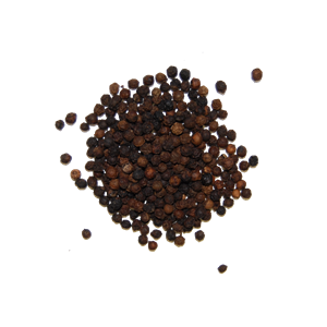 Black pepper PNG-24263